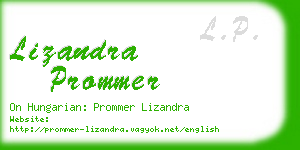 lizandra prommer business card